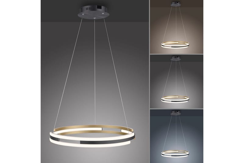 Q-Beluga Paul Neuhaus Taklampa - Brass - Belysning - Inomhusbelysning & lampor - Fönsterlampor & fönsterbelysning - Fönsterlampa hängande