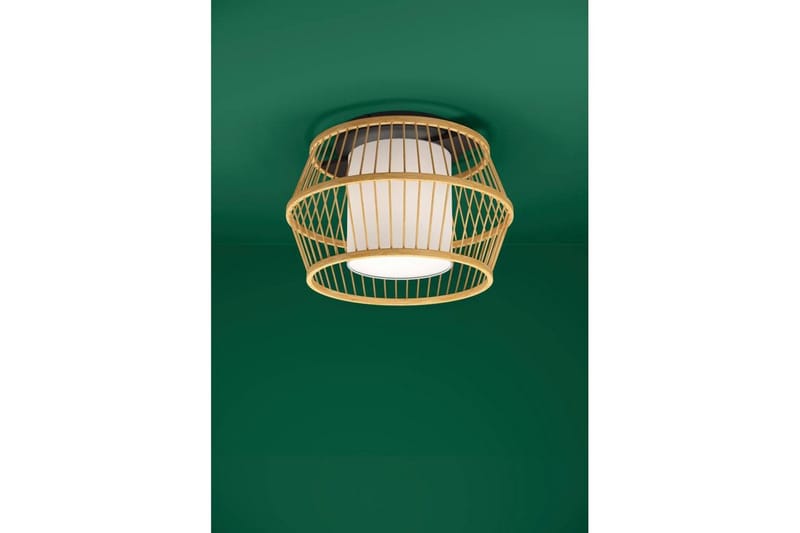 Takbelysning Eglo Monterroso Natur - Belysning - Inomhusbelysning & lampor - Fönsterlampor & fönsterbelysning - Fönsterlampa hängande