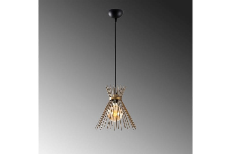 Taklampa Afroz Svart Enkeluttag - Enkeluttag - Belysning - Inomhusbelysning & lampor - Fönsterlampor & fönsterbelysning - Fönsterlampa hängande