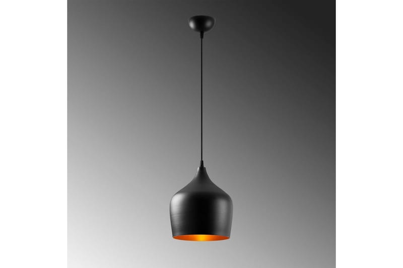 Taklampa Chichela Singel Svart - Svart - Belysning - Inomhusbelysning & lampor - Fönsterlampor & fönsterbelysning - Fönsterlampa hängande