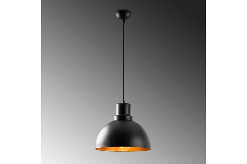 Taklampa Chichelai Single Svart - Svart - Belysning - Inomhusbelysning & lampor - Fönsterlampor & fönsterbelysning - Fönsterlampa hängande