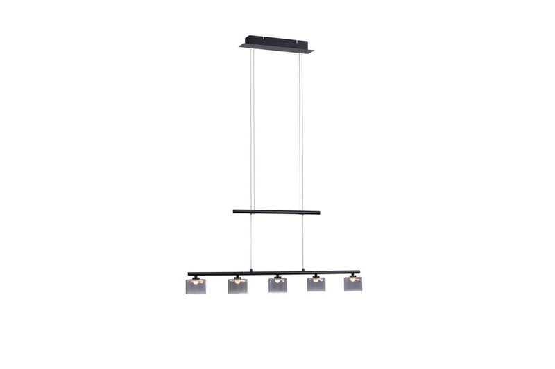 Taklampa Hydra - Svart - Belysning - Inomhusbelysning & lampor - Fönsterlampor & fönsterbelysning - Fönsterlampa hängande