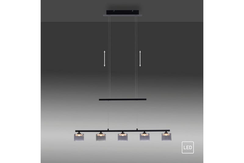 Taklampa Hydra - Svart - Belysning - Inomhusbelysning & lampor - Fönsterlampor & fönsterbelysning - Fönsterlampa hängande