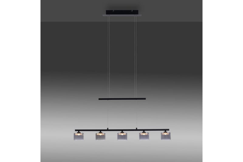 Taklampa Hydra - Svart - Belysning - Inomhusbelysning & lampor - Fönsterlampor & fönsterbelysning - Fönsterlampa hängande