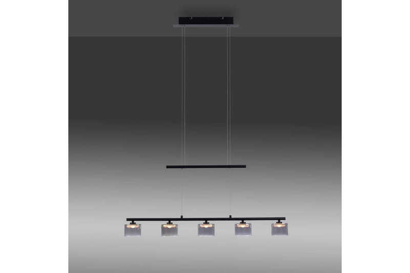 Taklampa Hydra - Svart - Belysning - Inomhusbelysning & lampor - Fönsterlampor & fönsterbelysning - Fönsterlampa hängande