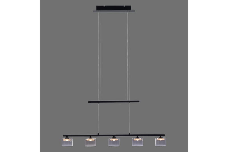 Taklampa Hydra - Svart - Belysning - Inomhusbelysning & lampor - Fönsterlampor & fönsterbelysning - Fönsterlampa hängande