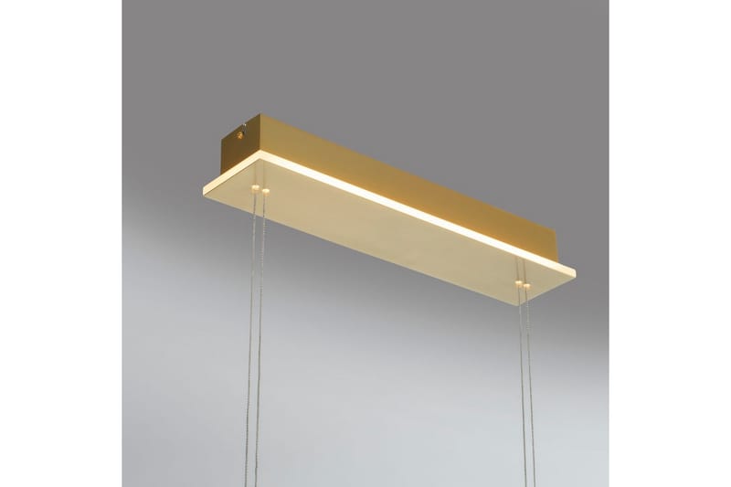 Taklampa Q-Etienne - 20x200x108,5 cm, Matt mässing - Belysning - Inomhusbelysning & lampor - Fönsterlampor & fönsterbelysning - Fönsterlampa hängande