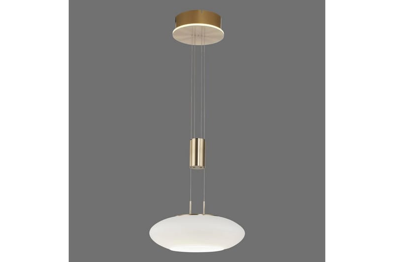 Taklampa Q-Etienne - 35x200x35 cm, Matt mässing - Belysning - Inomhusbelysning & lampor - Fönsterlampor & fönsterbelysning - Fönsterlampa hängande