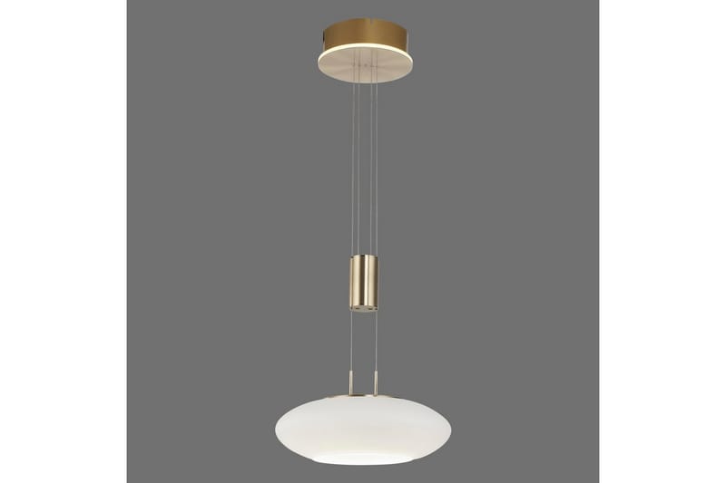 Taklampa Q-Etienne - 35x200x35 cm, Matt mässing - Belysning - Inomhusbelysning & lampor - Fönsterlampor & fönsterbelysning - Fönsterlampa hängande