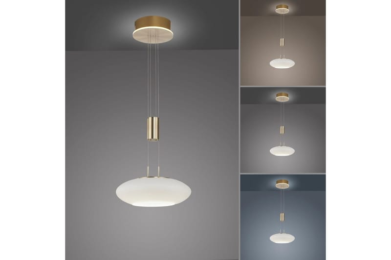 Taklampa Q-Etienne - 35x200x35 cm, Matt mässing - Belysning - Inomhusbelysning & lampor - Fönsterlampor & fönsterbelysning - Fönsterlampa hängande