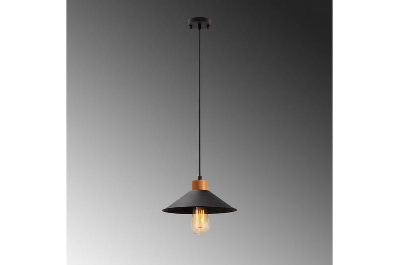 Taklampa Rate 3 Svart - Svart - Belysning - Inomhusbelysning & lampor - Fönsterlampor & fönsterbelysning - Fönsterlampa hängande