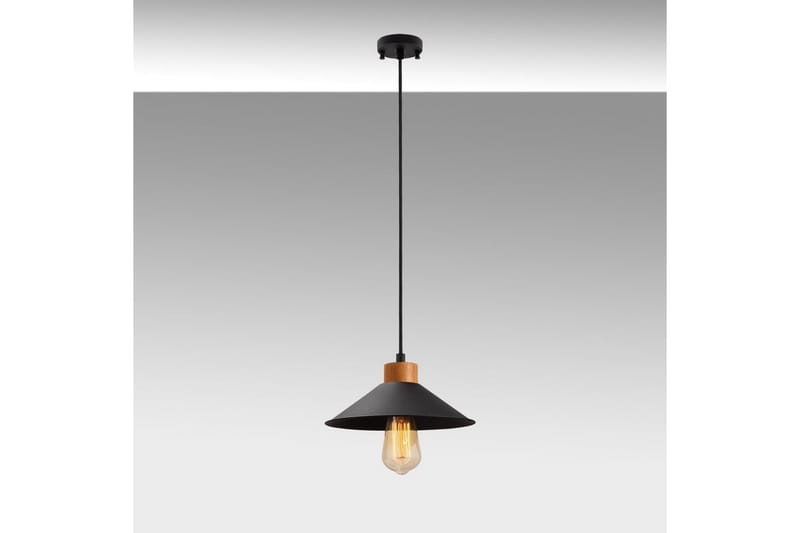 Taklampa Rate 3 Svart - Svart - Belysning - Inomhusbelysning & lampor - Fönsterlampor & fönsterbelysning - Fönsterlampa hängande