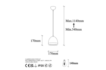 Taklampa Venor Antracit / Rany - Antracit / Rany - Belysning - Inomhusbelysning & lampor - Fönsterlampor & fönsterbelysning - Fönsterlampa hängande