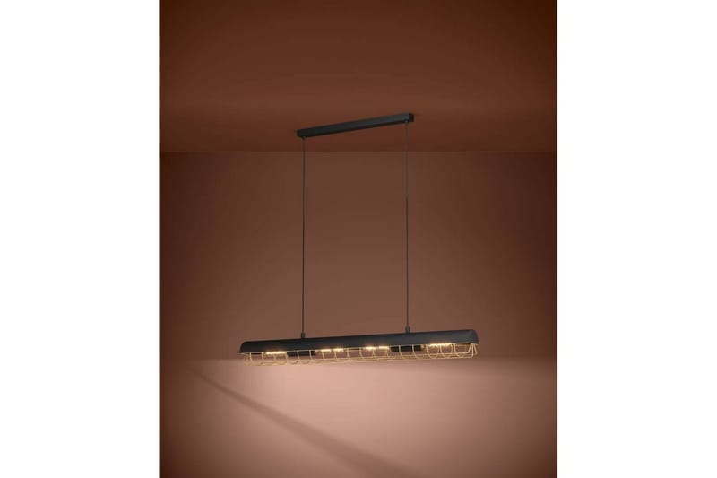 Takpendel Eglo Alfonsine Svart/Mässing - Belysning - Inomhusbelysning & lampor - Fönsterlampor & fönsterbelysning - Fönsterlampa hängande