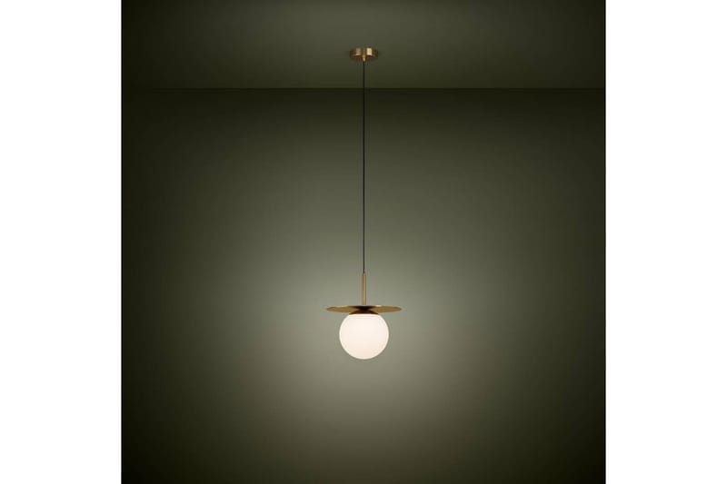 Takpendel Eglo Arenales Mässing/Opalvit - Belysning - Inomhusbelysning & lampor - Fönsterlampor & fönsterbelysning - Fönsterlampa hängande