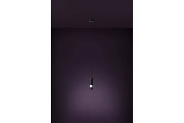 Takpendel Eglo Bernabeta Svart - Belysning - Inomhusbelysning & lampor - Fönsterlampor & fönsterbelysning - Fönsterlampa hängande