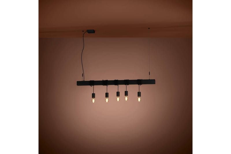 Takpendel Eglo Townshend-B Svart 5 Lampor - 5 Lampor - Belysning - Inomhusbelysning & lampor - Fönsterlampor & fönsterbelysning - Fönsterlampa hängande