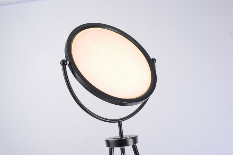 CARL golvlampa, svart - Svart - Belysning - Inomhusbelysning & lampor - Golvlampor & golvbelysning