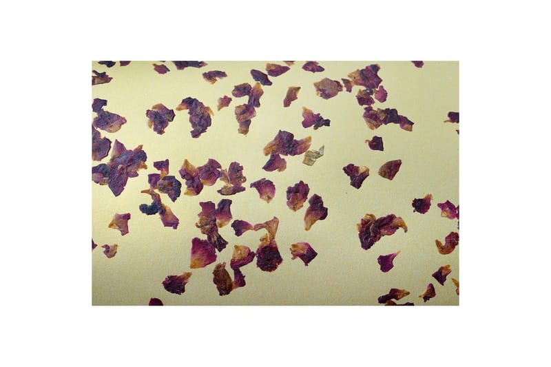 Golvlampa Eglo Castuera Guld med Rosblad - Belysning - Inomhusbelysning & lampor - Golvlampor & golvbelysning