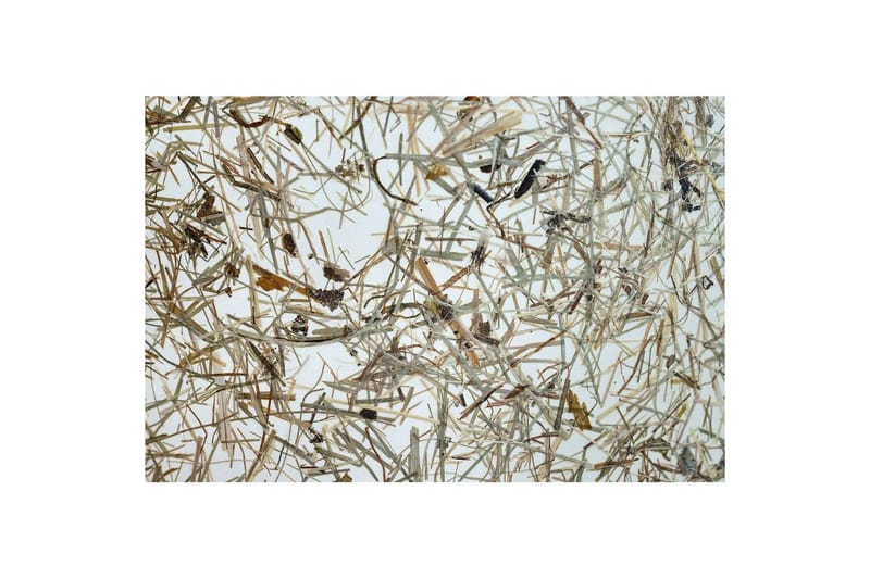 Golvlampa Eglo Hontongas Brun - Belysning - Inomhusbelysning & lampor - Golvlampor & golvbelysning