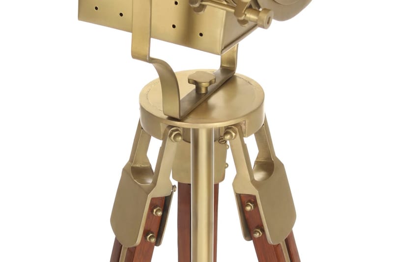 Golvlampa massivt mangoträ 193 cm - Brun - Belysning - Inomhusbelysning & lampor - Golvlampor & golvbelysning