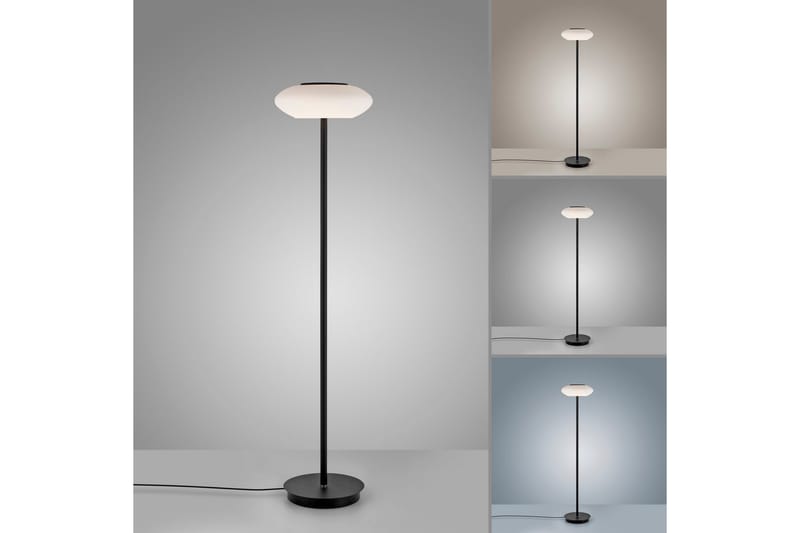 Golvlampa Q-Etienne - 35x152x35 cm - Belysning - Inomhusbelysning & lampor - Golvlampor & golvbelysning