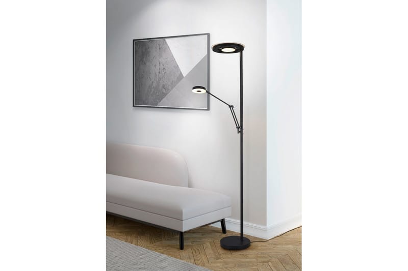 Golvlampa TRIO Barrie Mattsvart - Mattsvart - Belysning - Inomhusbelysning & lampor - Golvlampor & golvbelysning
