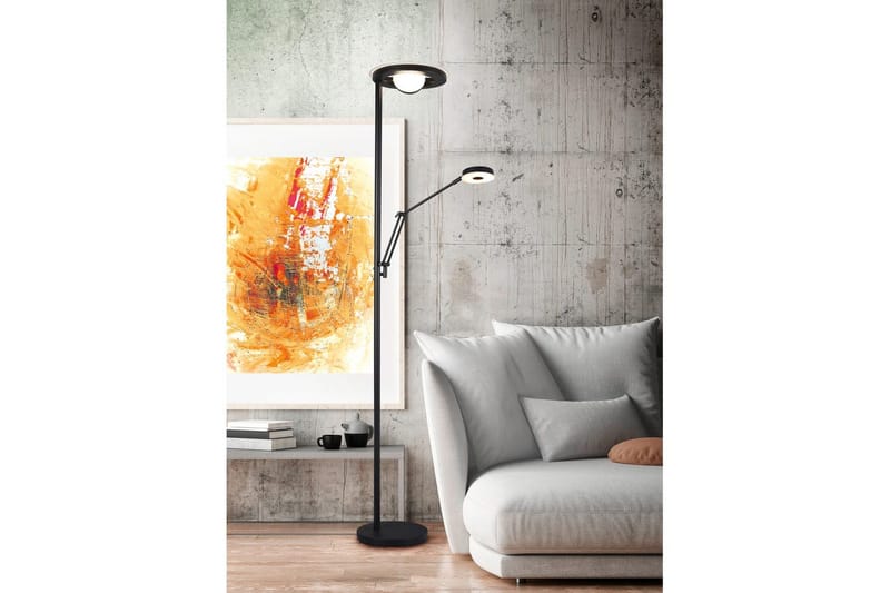 Golvlampa TRIO Barrie Mattsvart - Mattsvart - Belysning - Inomhusbelysning & lampor - Golvlampor & golvbelysning
