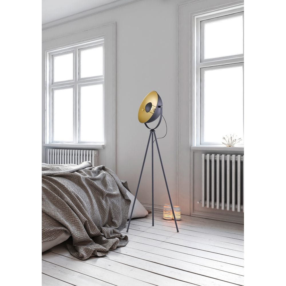 Golvlampa TRIO Chewy -
