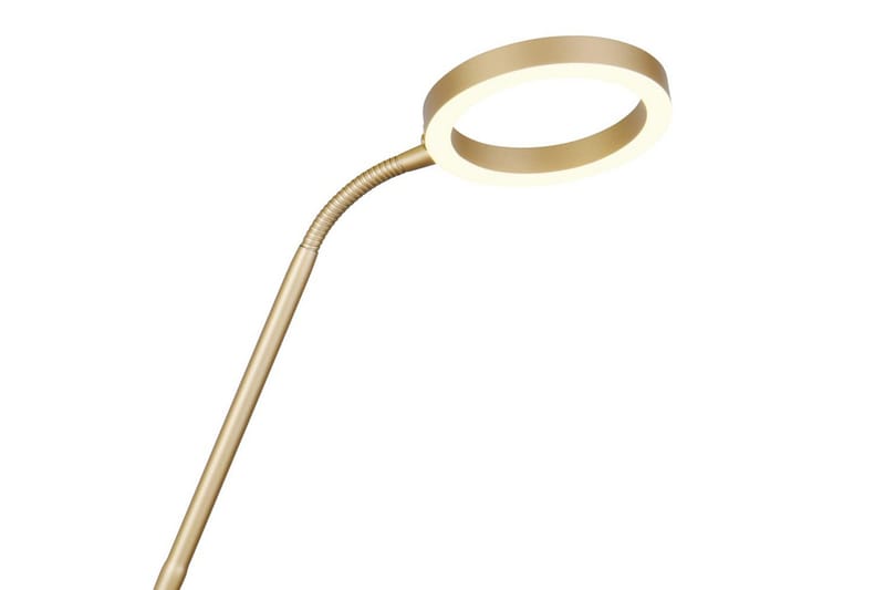 Golvlampa TRIO Willis Guld - Guld - Belysning - Inomhusbelysning & lampor - Golvlampor & golvbelysning