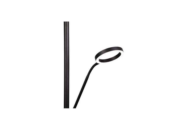 Golvlampa TRIO Willis Mattsvart - Mattsvart - Belysning - Inomhusbelysning & lampor - Golvlampor & golvbelysning