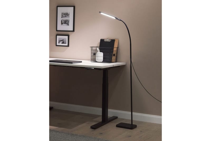 Kaloma Golvlampa 174 cm - Svart - Belysning - Inomhusbelysning & lampor - Golvlampor & golvbelysning