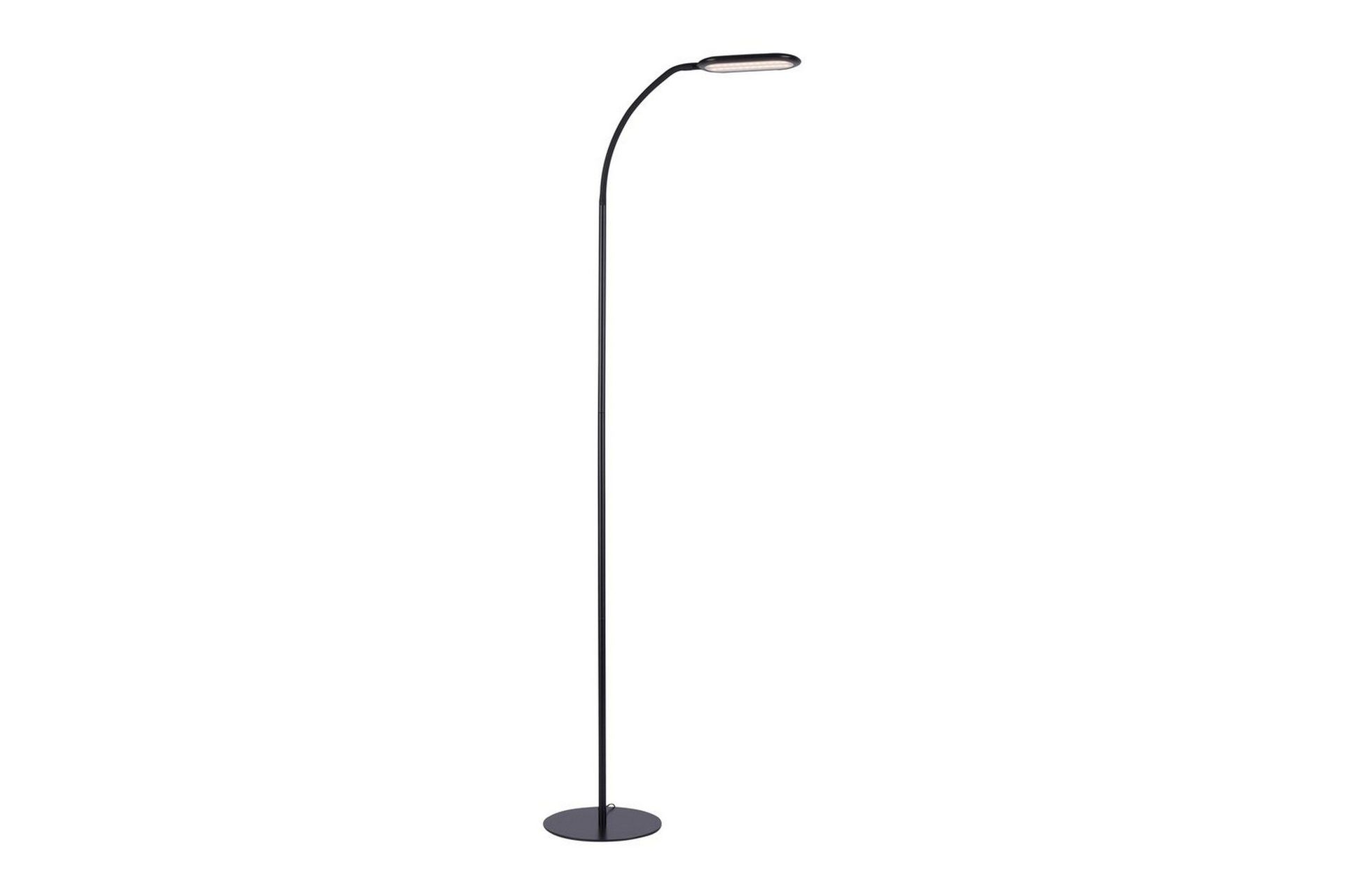 Kelly Just Light Golvlampa - Black