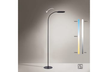 Kelly Just Light Golvlampa - Black - Belysning - Inomhusbelysning & lampor - Golvlampor & golvbelysning