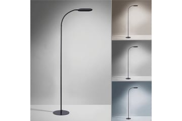 Kelly Just Light Golvlampa - Black - Belysning - Inomhusbelysning & lampor - Golvlampor & golvbelysning