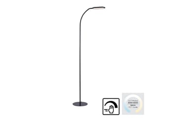 Kelly Just Light Golvlampa - Black - Belysning - Inomhusbelysning & lampor - Golvlampor & golvbelysning