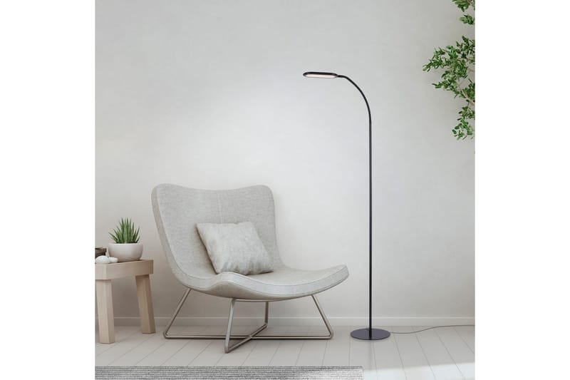 Kelly Just Light Golvlampa - Black - Belysning - Inomhusbelysning & lampor - Golvlampor & golvbelysning