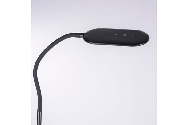 Kelly Just Light Golvlampa - Black - Belysning - Inomhusbelysning & lampor - Golvlampor & golvbelysning