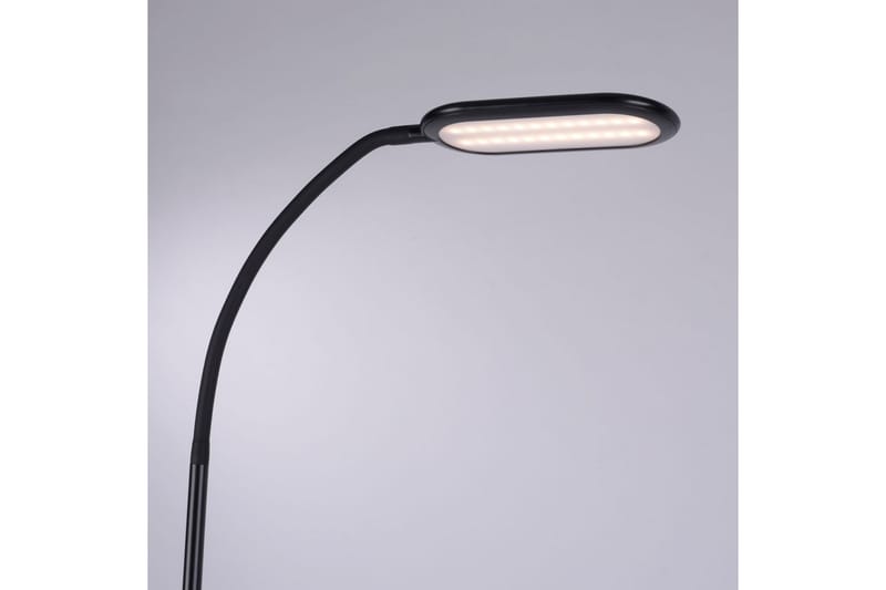 Kelly Just Light Golvlampa - Black - Belysning - Inomhusbelysning & lampor - Golvlampor & golvbelysning