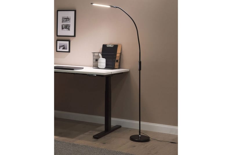 Linose Golvlampa 200 cm - Svart - Belysning - Inomhusbelysning & lampor - Golvlampor & golvbelysning