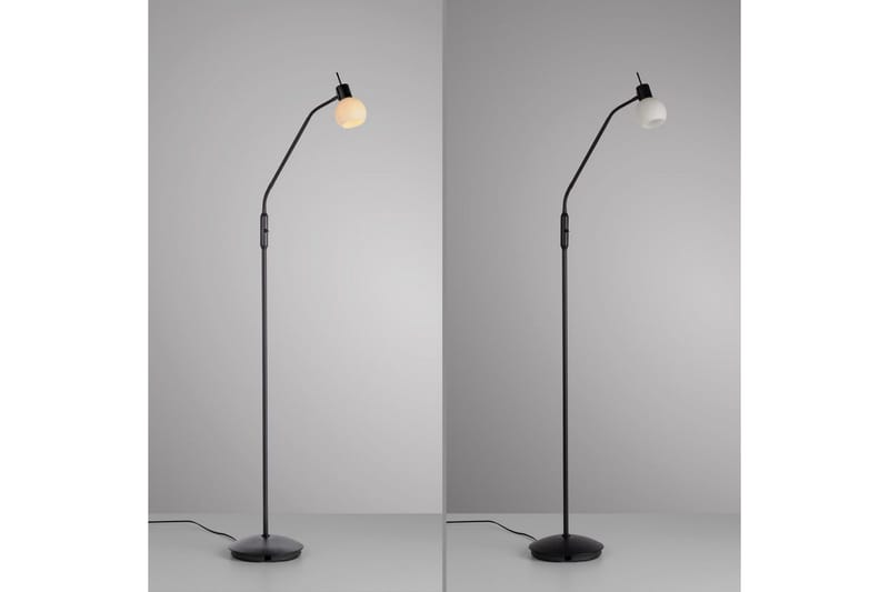 Loki Just Light Golvlampa - Black - Belysning - Inomhusbelysning & lampor - Golvlampor & golvbelysning