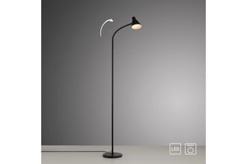 Pixie Just Light Golvlampa - Black - Belysning - Inomhusbelysning & lampor - Golvlampor & golvbelysning