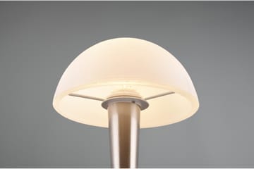 Canaria Bordslampa E14 (inkl.) borstad stål - Stål - Belysning - Inomhusbelysning & lampor - Sänglampa - Sängbordslampa