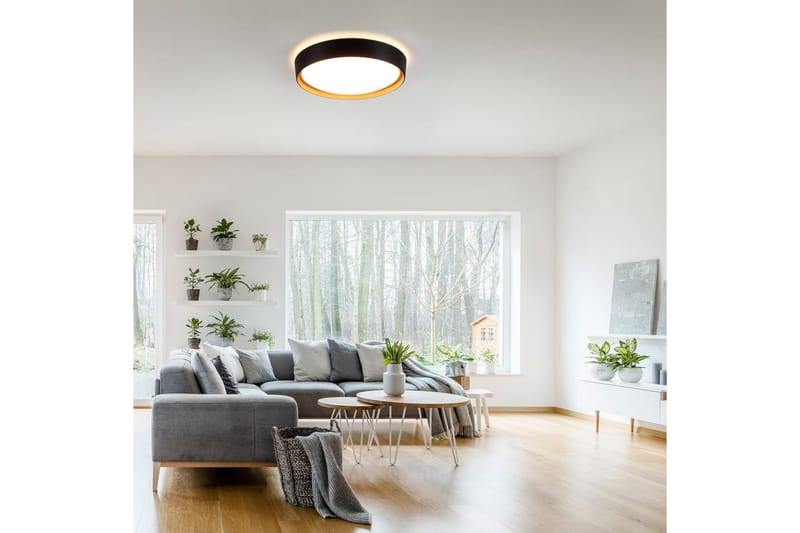 Emilia Just Light Taklampa - Black - Belysning - Inomhusbelysning & lampor - Taklampor & takbelysning - Plafond