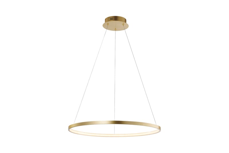 CIRCLE Pendellampa, guld 60x120 cm, Guld