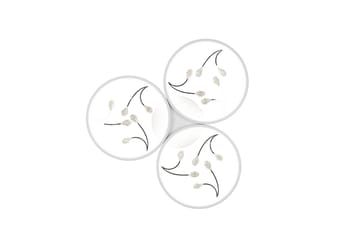 Groovy LED Plafond 3L mattvit/ krom - Matt vit/Krom - Belysning - Inomhusbelysning & lampor - Taklampor & takbelysning - Kökslampa & pendellampa