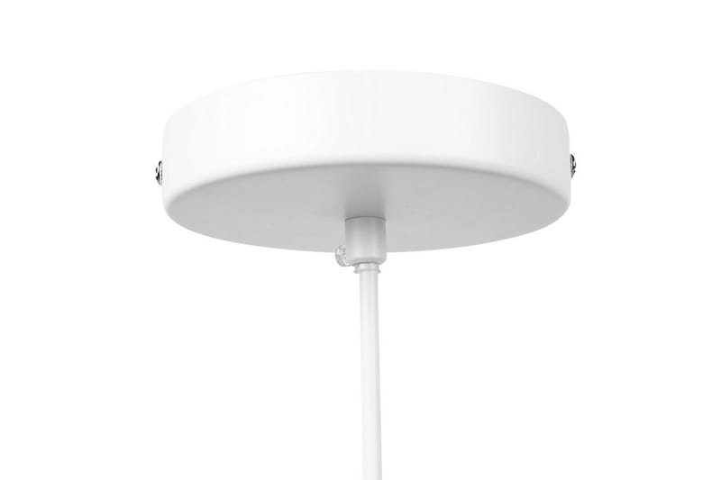 MOLOPO Taklampa 40 cm - Kökslampa & pendellampa - Sovrumslampa - Fönsterlampa hängande