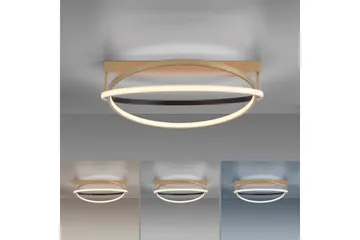 Q-Beluga Paul Neuhaus Taklampa - Brass - Belysning - Inomhusbelysning & lampor - Taklampor & takbelysning - Plafond