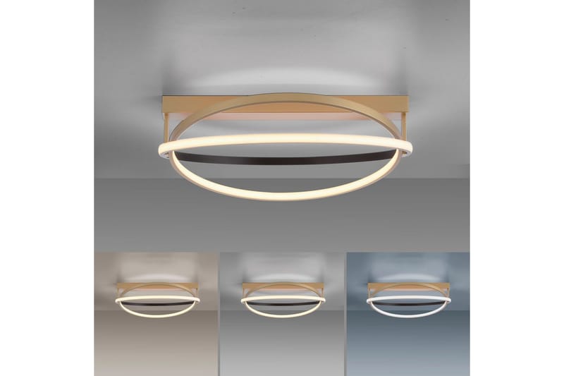 Q-Beluga Paul Neuhaus Taklampa - Brass - Belysning - Inomhusbelysning & lampor - Taklampor & takbelysning - Plafond