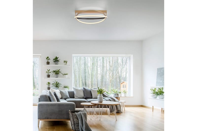 Q-Beluga Paul Neuhaus Taklampa - Brass - Belysning - Inomhusbelysning & lampor - Taklampor & takbelysning - Plafond